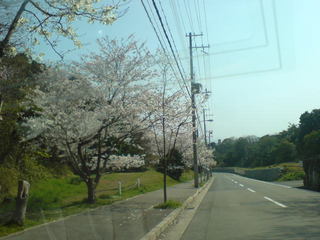 ジェームス山.jpg