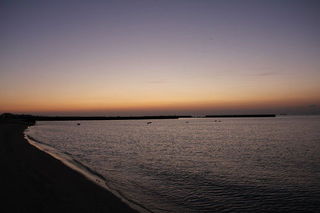 ca5d3479.jpg